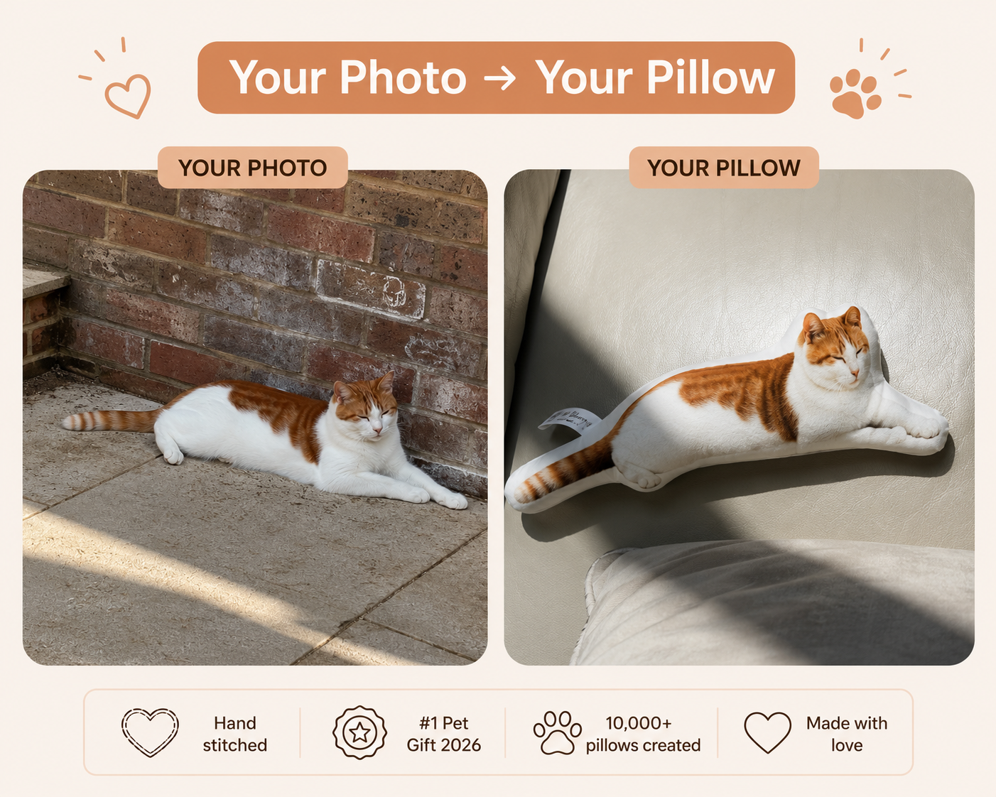 Custom Pet Pillow