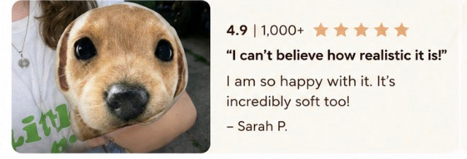 Custom Pet Pillow